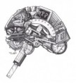 /album/galeria-de-fotos-imagens/brain201-jpg/