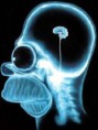 /album/galeria-de-fotos-imagens/cerebro-homer-jpg/