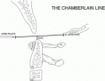 /album/diversas/sp555355-fig4-gif/