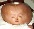 /album/diversas/about-cases-jpg/